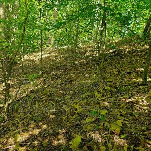 Photo #26 of SOLD property in 545 Trott Circle, Martinsville, VA 89.4 acres