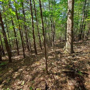 Photo #4 of SOLD property in 545 Trott Circle, Martinsville, VA 89.4 acres