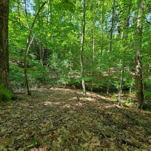 Photo #27 of SOLD property in 545 Trott Circle, Martinsville, VA 89.4 acres