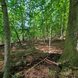 Photo #31 of SOLD property in 545 Trott Circle, Martinsville, VA 89.4 acres