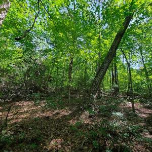 Photo #32 of SOLD property in 545 Trott Circle, Martinsville, VA 89.4 acres