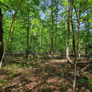 Photo #33 of SOLD property in 545 Trott Circle, Martinsville, VA 89.4 acres