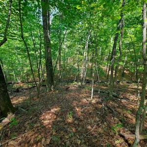 Photo #35 of SOLD property in 545 Trott Circle, Martinsville, VA 89.4 acres