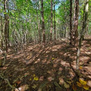 Photo #5 of SOLD property in 545 Trott Circle, Martinsville, VA 89.4 acres
