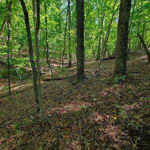 Photo #37 of SOLD property in 545 Trott Circle, Martinsville, VA 89.4 acres