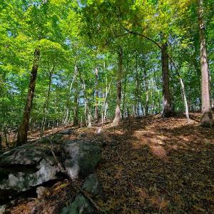 Photo #38 of SOLD property in 545 Trott Circle, Martinsville, VA 89.4 acres