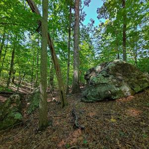 Photo #39 of SOLD property in 545 Trott Circle, Martinsville, VA 89.4 acres