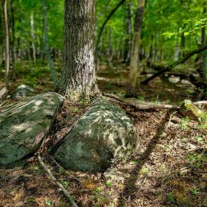 Photo #40 of SOLD property in 545 Trott Circle, Martinsville, VA 89.4 acres