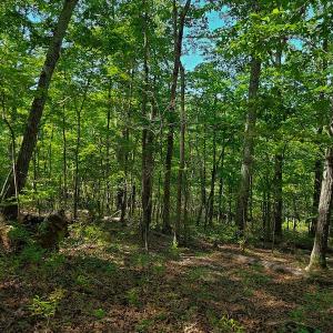 Photo #41 of SOLD property in 545 Trott Circle, Martinsville, VA 89.4 acres