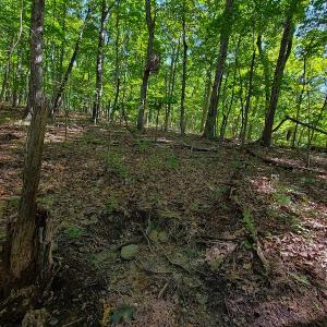 Photo #42 of SOLD property in 545 Trott Circle, Martinsville, VA 89.4 acres
