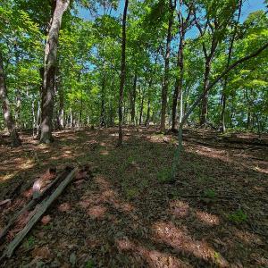 Photo #43 of SOLD property in 545 Trott Circle, Martinsville, VA 89.4 acres