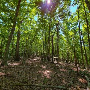 Photo #45 of SOLD property in 545 Trott Circle, Martinsville, VA 89.4 acres