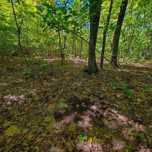 Photo #49 of SOLD property in 545 Trott Circle, Martinsville, VA 89.4 acres