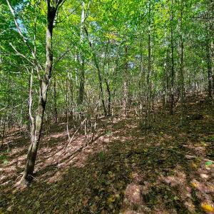 Photo #7 of SOLD property in 545 Trott Circle, Martinsville, VA 89.4 acres