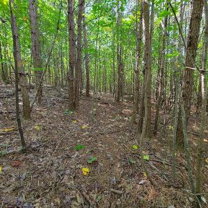 Photo #8 of SOLD property in 545 Trott Circle, Martinsville, VA 89.4 acres