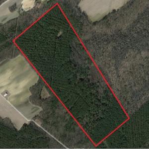 Photo #1 of Off Wyatt Road, Stony, VA 100.0 acres