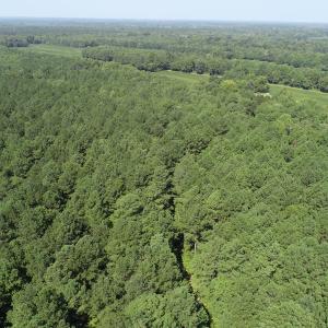 Photo #12 of Off Wyatt Road, Stony, VA 100.0 acres