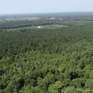 Photo #13 of Off Wyatt Road, Stony, VA 100.0 acres