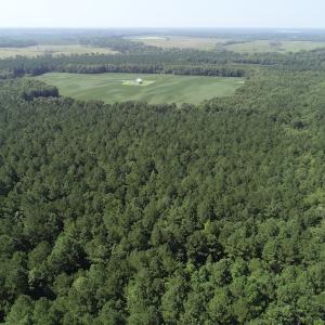 Photo #14 of Off Wyatt Road, Stony, VA 100.0 acres