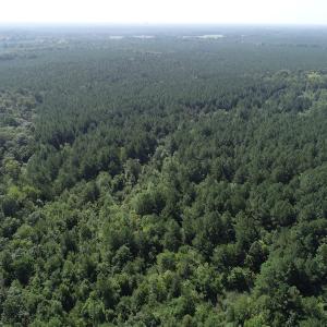 Photo #15 of Off Wyatt Road, Stony, VA 100.0 acres