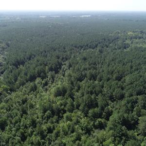 Photo #17 of Off Wyatt Road, Stony, VA 100.0 acres