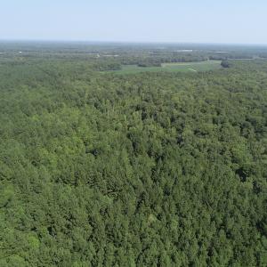 Photo #18 of Off Wyatt Road, Stony, VA 100.0 acres
