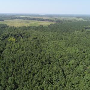Photo #19 of Off Wyatt Road, Stony, VA 100.0 acres