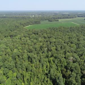 Photo #20 of Off Wyatt Road, Stony, VA 100.0 acres