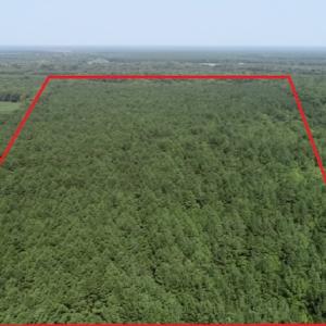 Photo #21 of Off Wyatt Road, Stony, VA 100.0 acres