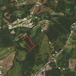 Photo #22 of Off Wyatt Road, Stony, VA 100.0 acres