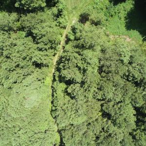 Photo #3 of Off Wyatt Road, Stony, VA 100.0 acres