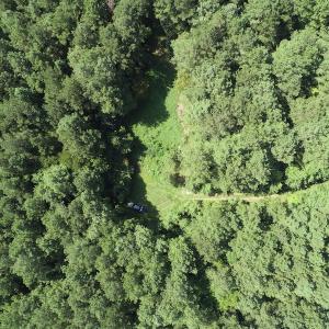 Photo #4 of Off Wyatt Road, Stony, VA 100.0 acres