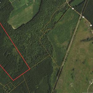 Photo #24 of Off Wyatt Road, Stony, VA 100.0 acres