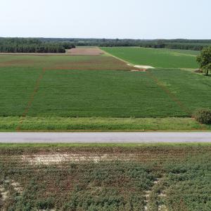 Photo #3 of Off Signpost Road, Courtland, VA 1.0 acres