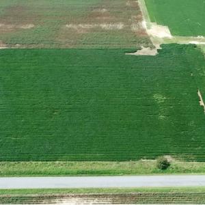 Photo #4 of Off Signpost Road, Courtland, VA 1.0 acres
