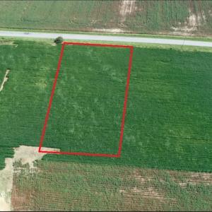 Photo #2 of Off Signpost Road, Courtland, VA 1.0 acres