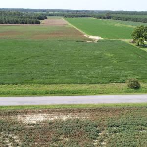 Photo #5 of Off Signpost Road, Courtland, VA 1.0 acres