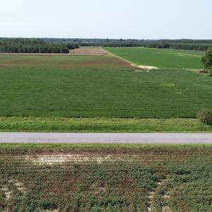 Photo #6 of Off Signpost Road, Courtland, VA 1.0 acres