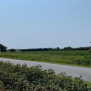 Photo #8 of Off Signpost Road, Courtland, VA 1.0 acres