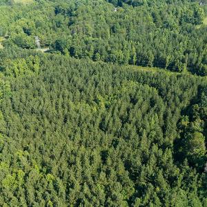 Photo #18 of SOLD property in Off Brook Cove Road, Walnut Cove, NC 42.9 acres