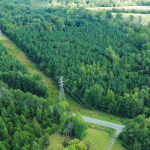 Photo #19 of SOLD property in Off Brook Cove Road, Walnut Cove, NC 42.9 acres