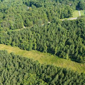 Photo #20 of SOLD property in Off Brook Cove Road, Walnut Cove, NC 42.9 acres