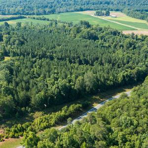 Photo #23 of SOLD property in Off Brook Cove Road, Walnut Cove, NC 42.9 acres