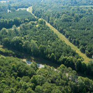 Photo #24 of SOLD property in Off Brook Cove Road, Walnut Cove, NC 42.9 acres