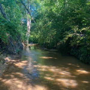 Photo #3 of SOLD property in Off Brook Cove Road, Walnut Cove, NC 42.9 acres