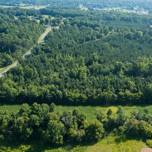 Photo #6 of SOLD property in Off Brook Cove Road, Walnut Cove, NC 42.9 acres