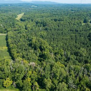 Photo #8 of SOLD property in Off Brook Cove Road, Walnut Cove, NC 42.9 acres