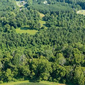 Photo #10 of SOLD property in Off Brook Cove Road, Walnut Cove, NC 42.9 acres