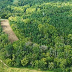 Photo #11 of SOLD property in Off Brook Cove Road, Walnut Cove, NC 42.9 acres
