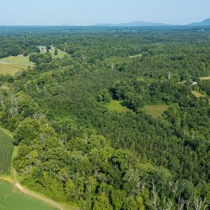 Photo #12 of SOLD property in Off Brook Cove Road, Walnut Cove, NC 42.9 acres